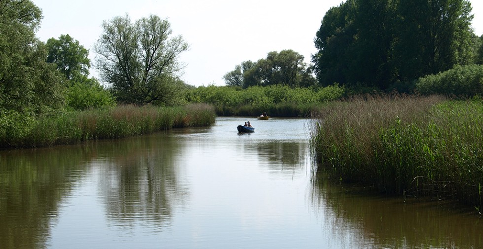 Camping in de Biesbosch De Kurenpolder Recreatie Camping in de Biesbosch De Kurenpolder Recreatie